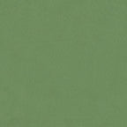 Piumone Completo Annuale Verde 135 x 200 cm Microfibra