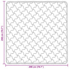 Piumone Completo Annuale Trapuntato Antracite 200 x 200 cm