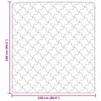 Piumone Completo Annuale Trapuntato Antracite 220 x 240 cm