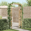 Arco da Giardino Naturale 110 x 40 x 205 cm Bambù