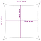Vela da ombra solare Blu e Bianco 2,5 x 2,5 m