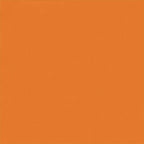 Vela da ombra solare Arancione 6 x 2 m 100% Poliestere Oxford