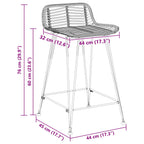 Sgabello da bar 2 pcs Nero 44 x 45 x 76 cm Rattan e acciaio