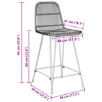 Sgabello da bar 2 pcs Naturale 44 x 54 x 96 cm Rattan e acciaio