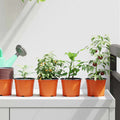 Vaso Rotondo per Fiori 50 pcs Terracotta Ø 10 x 8 cm Plastica