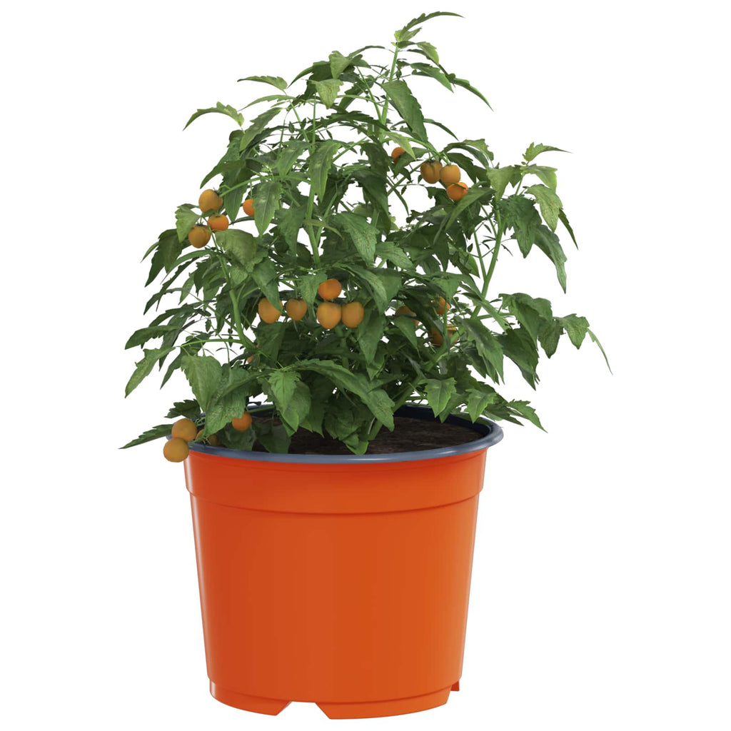 Vaso Rotondo per Fiori 50 pcs Terracotta Ø 10 x 8 cm Plastica