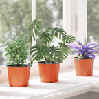 Vaso Rotondo per Fiori 200 pcs Terracotta Ø 10 x 8 cm Plastica
