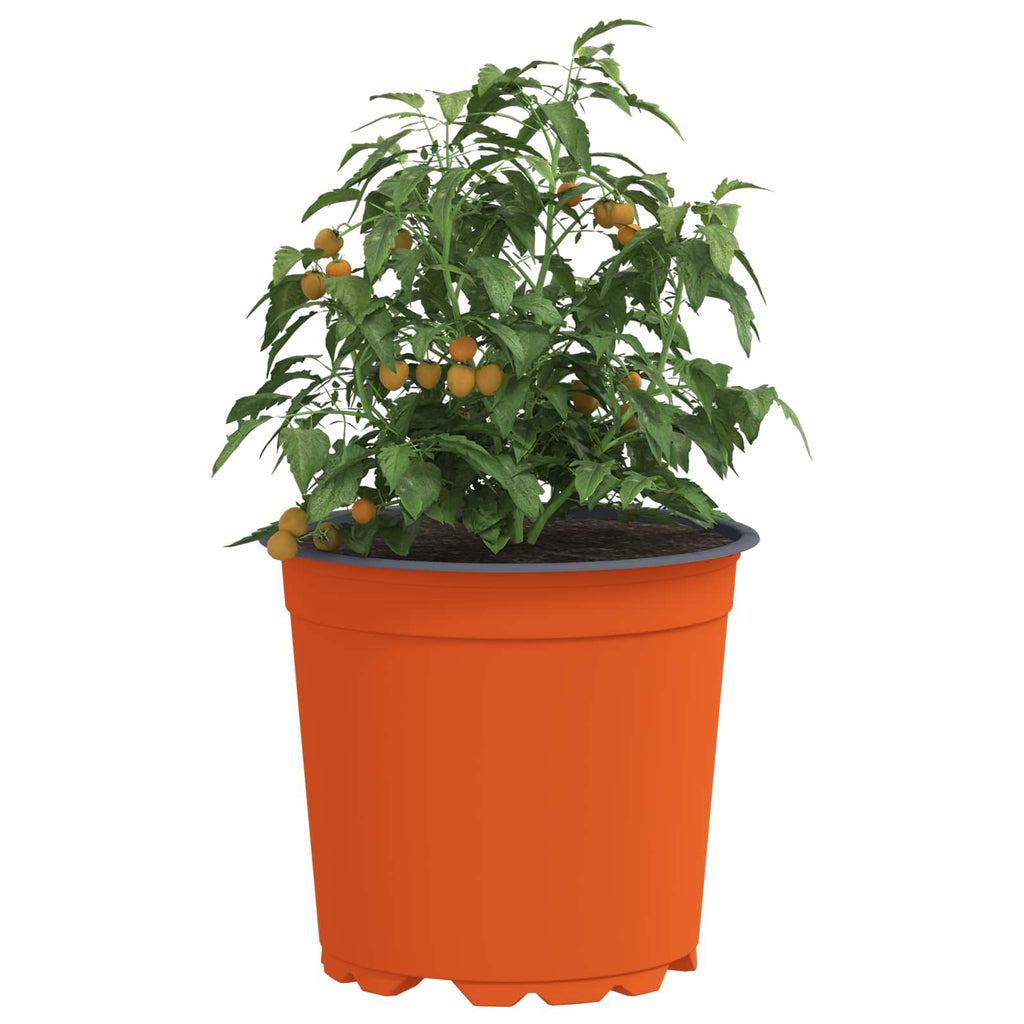Vaso per Fiori 100 pcs Terracotta Ø 15 x 13 cm Plastica