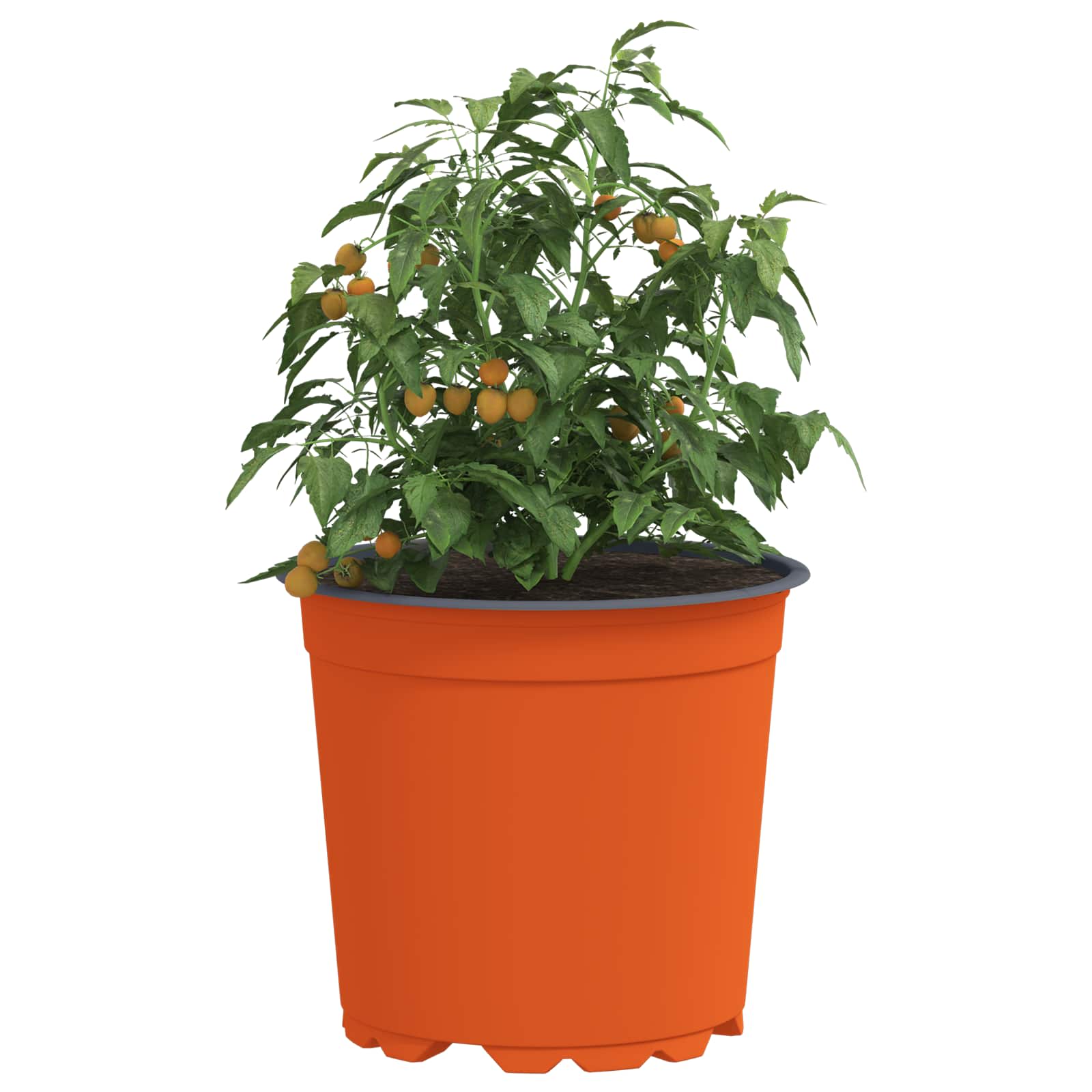 Vaso per Fiori 100 pcs Terracotta Ø 15 x 13 cm Plastica
