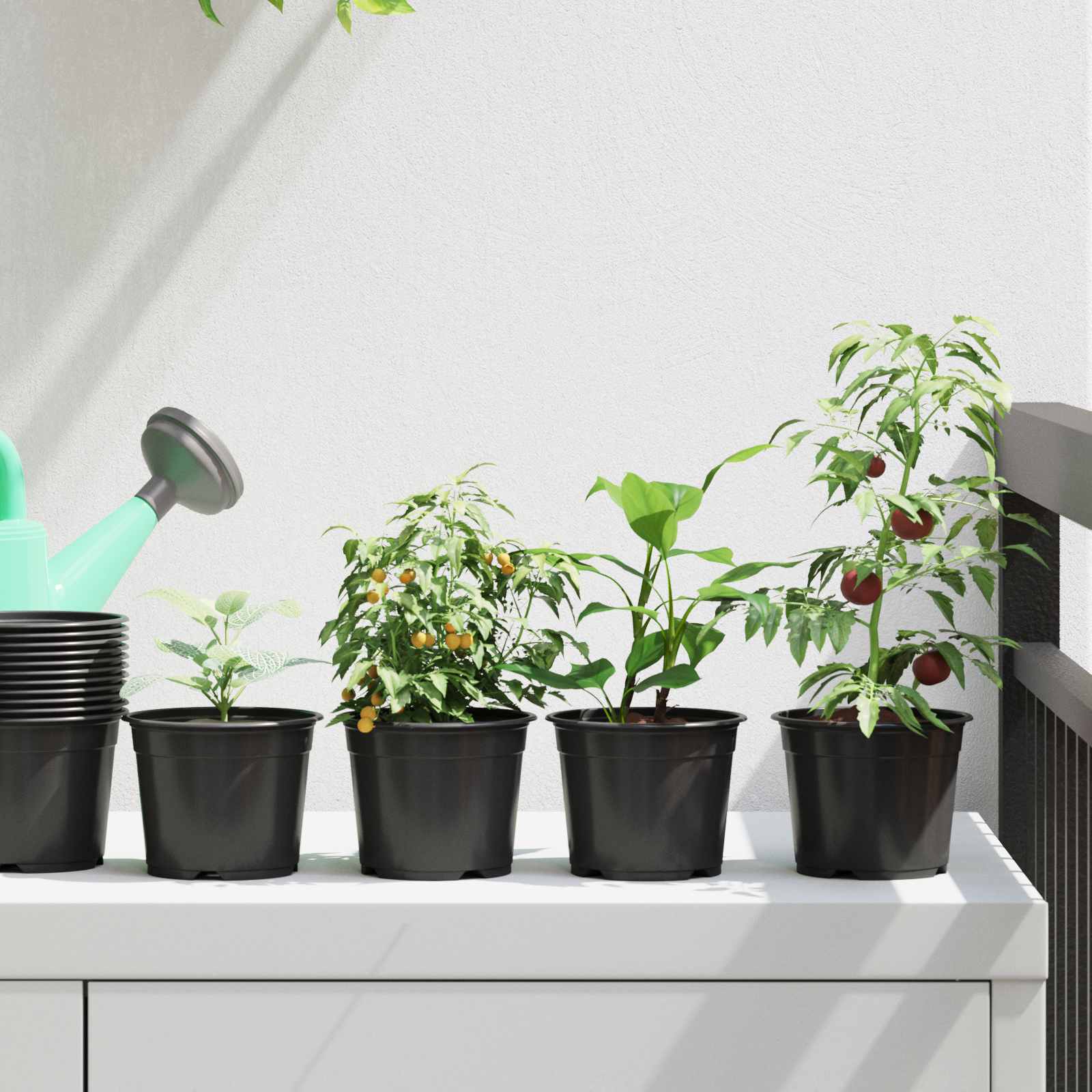 Vaso Rotondo per Fiori 100 pcs Nero Ø 10 x 8 cm Plastica
