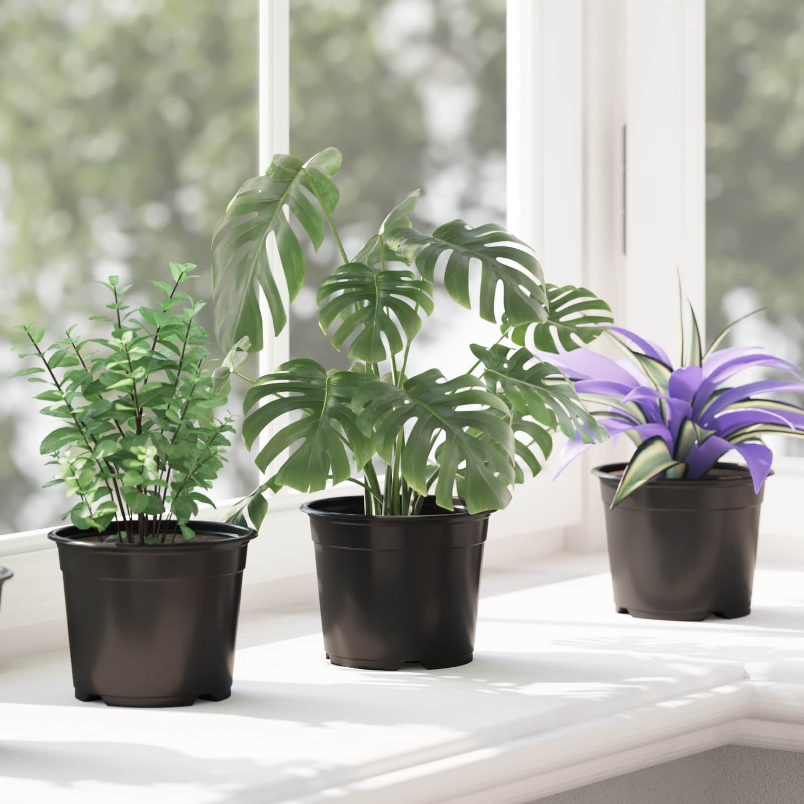 Vaso Rotondo per Fiori 100 pcs Nero Ø 10 x 8 cm Plastica