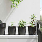 Vaso per Fiori 100 pcs Nero Ø 15 x 13 cm Plastica