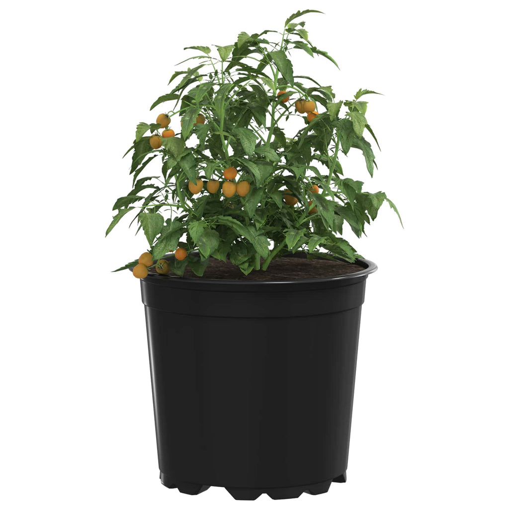 Vaso per Fiori 100 pcs Nero Ø 15 x 13 cm Plastica