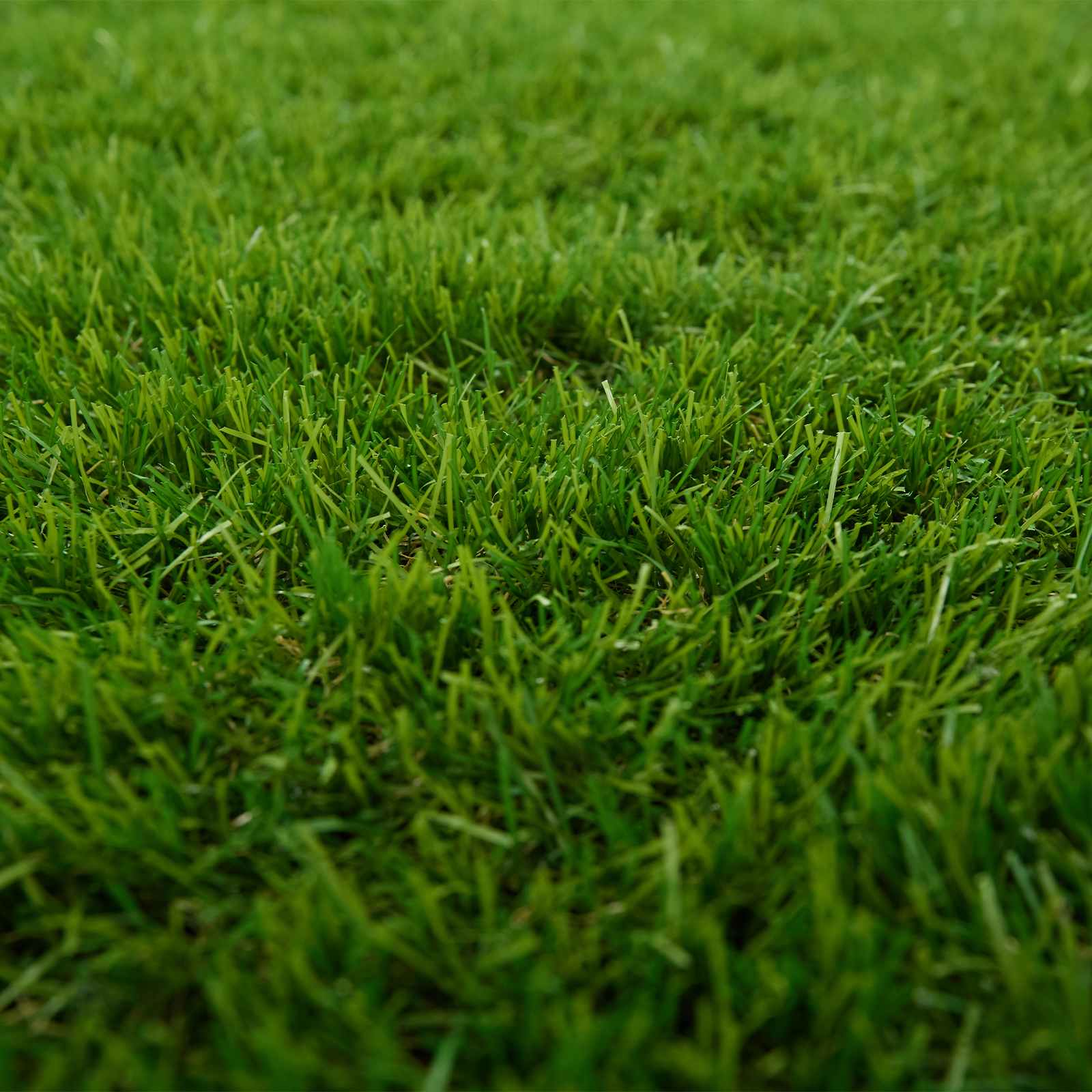 Erba artificiale Verde 1 x 8 m, 50 mm PP e PE