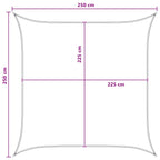 Telo Ombra Grigio chiaro e bianco 2,5 x 2,5 m HDPE
