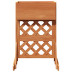 Trellis da Giardino Verticale Arancione 48 x 30 x 70,5 cm