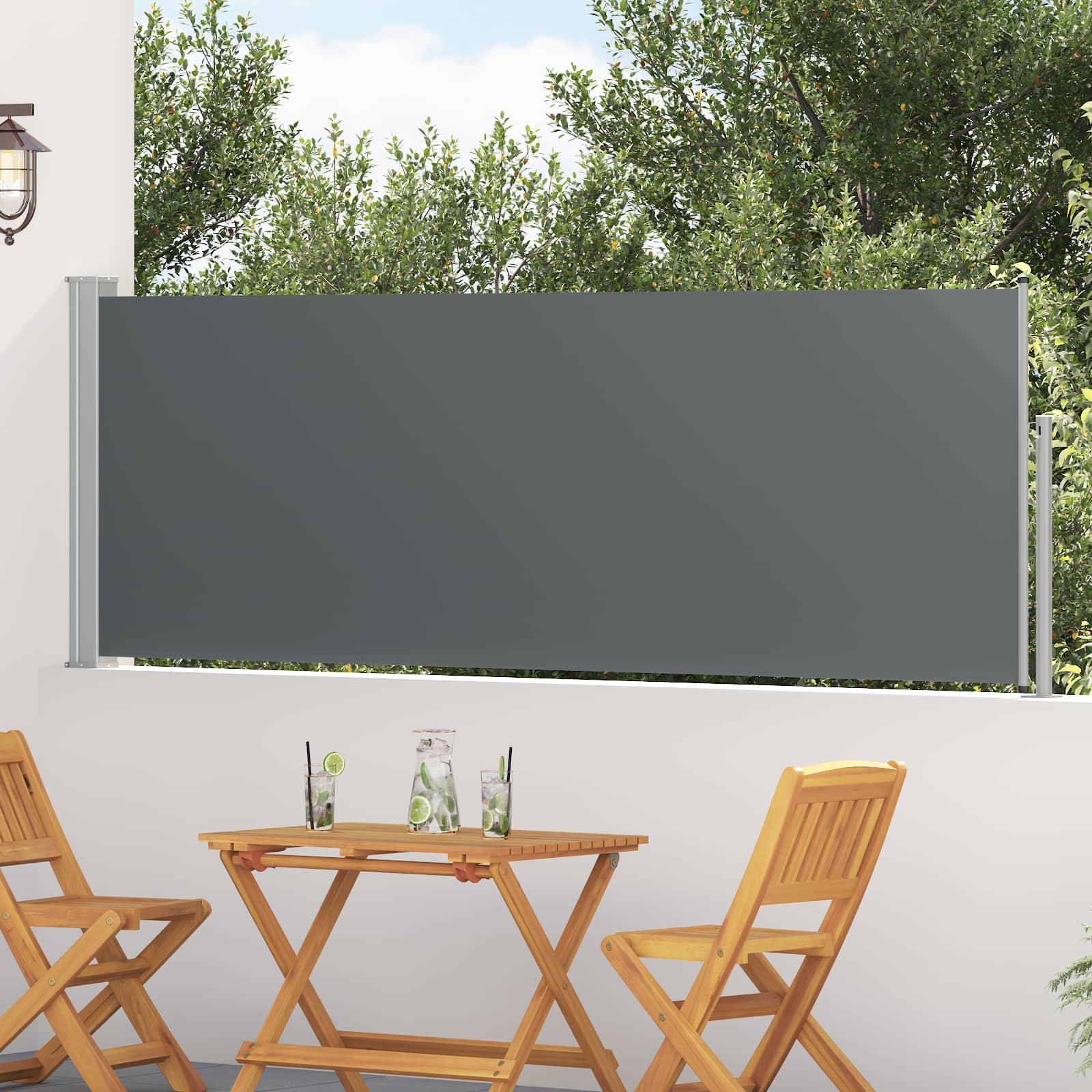 Tenda laterale retrattile Antracite 300 x 100 cm Poliestere