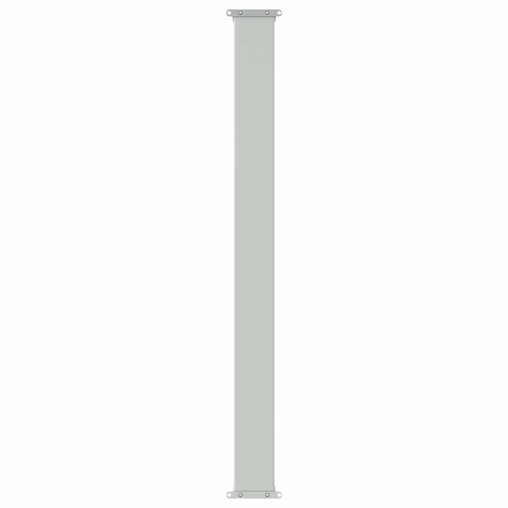 Tenda laterale retrattile Antracite 300 x 100 cm Poliestere