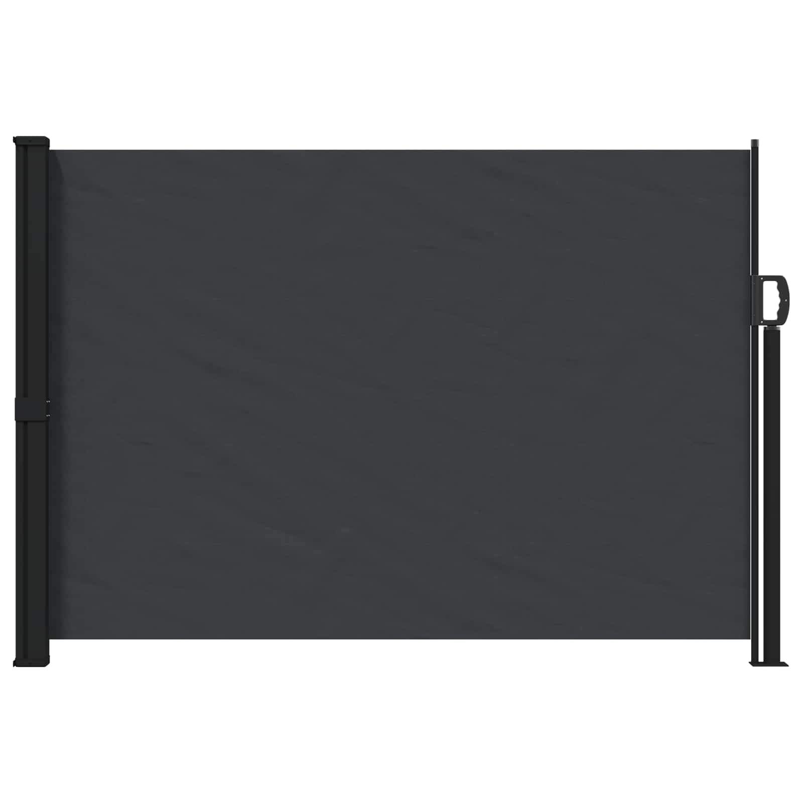Tenda laterale retrattile Nero 300 x 170 cm Poliestere