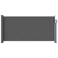 Tenda laterale retrattile Antracite 300 x 100 cm Poliestere