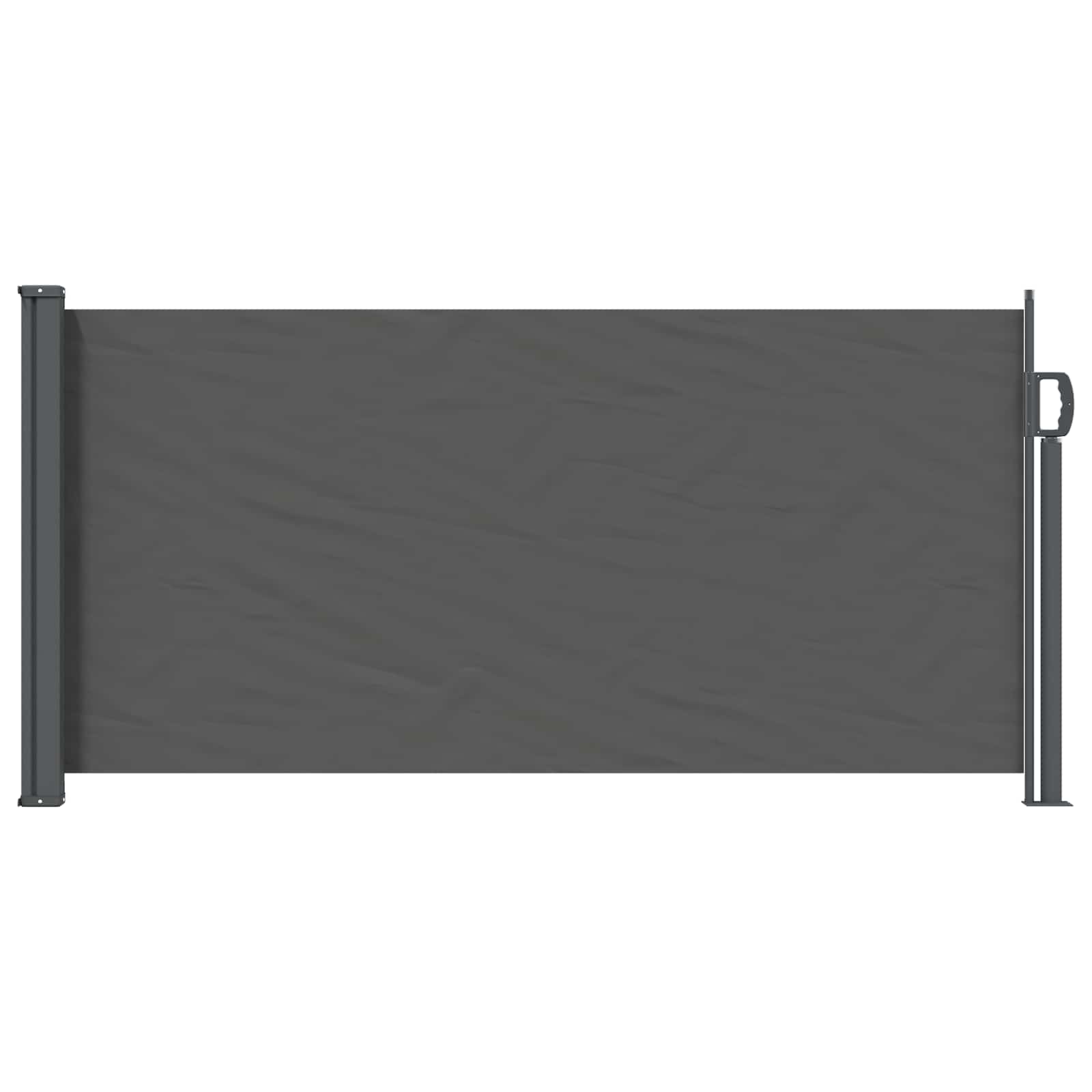 Tenda laterale retrattile Antracite 300 x 100 cm Poliestere