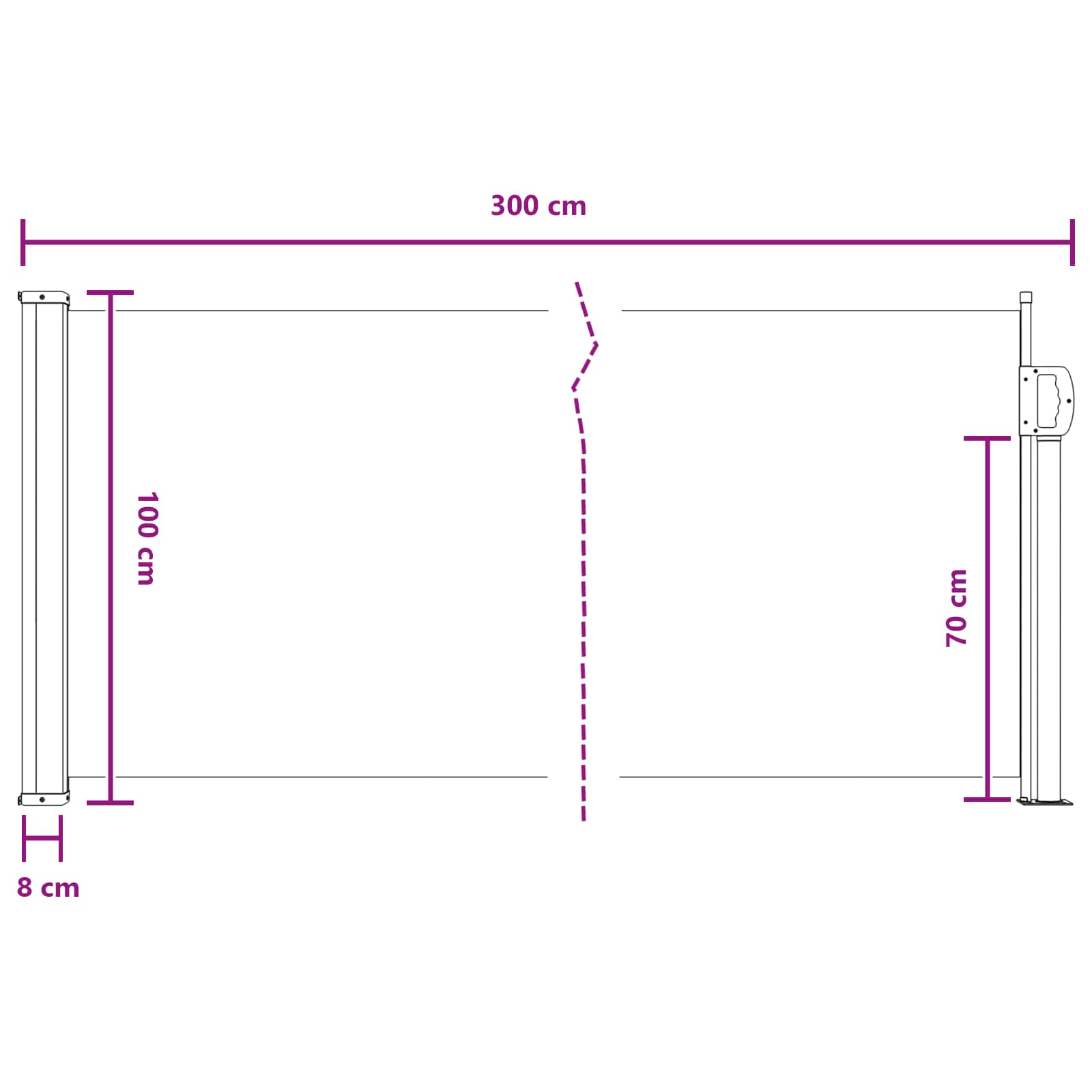 Tenda laterale retrattile Antracite 300 x 100 cm Poliestere