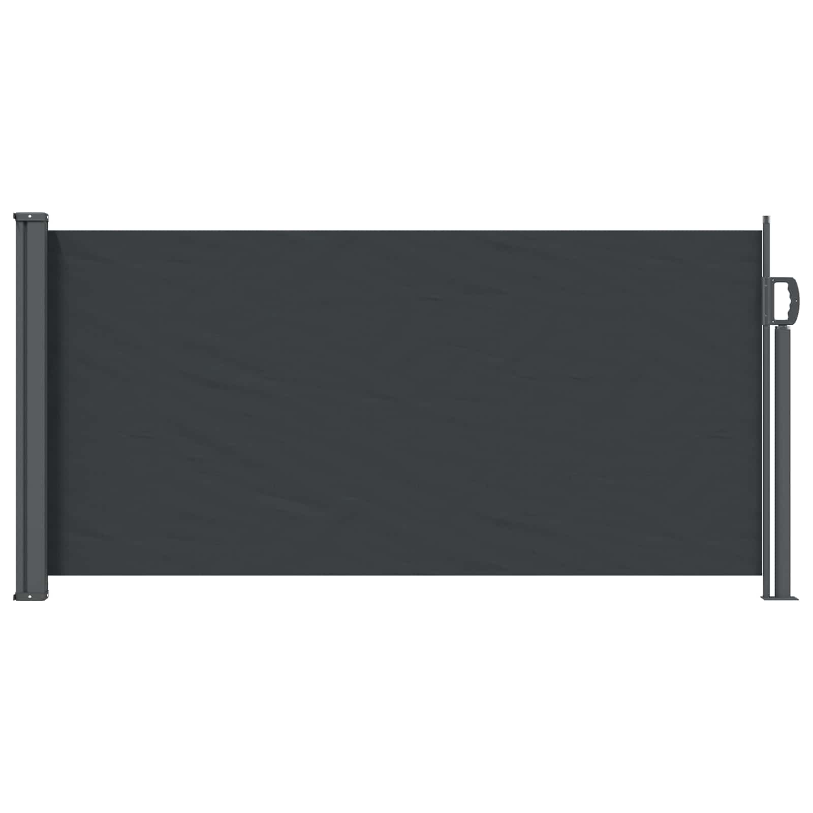 Tenda laterale retrattile Nero 300 x 100 cm Poliestere