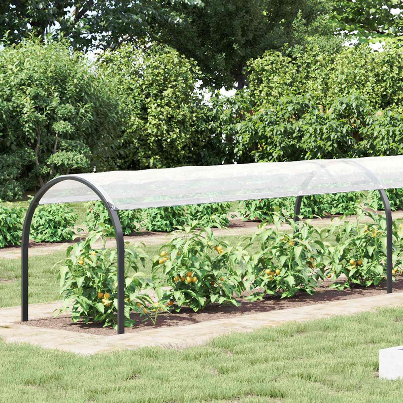 Copertura per Piante Trasparente 1 x 12 m PE