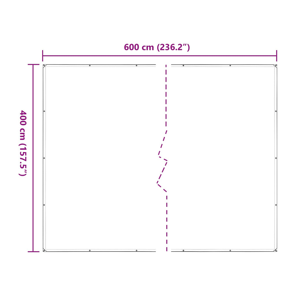 Copertura per Piante Trasparente 4 x 6 m PE