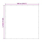 Copertura per Piante Trasparente 6 x 6 m PE