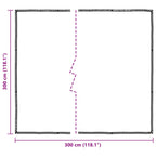 Copertura per Piante Trasparente 3 x 3 m PE