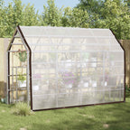 Copertura per Piante Trasparente 3 x 4 m PE
