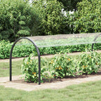 Copertura per Piante Trasparente 1 x 12 m PVC