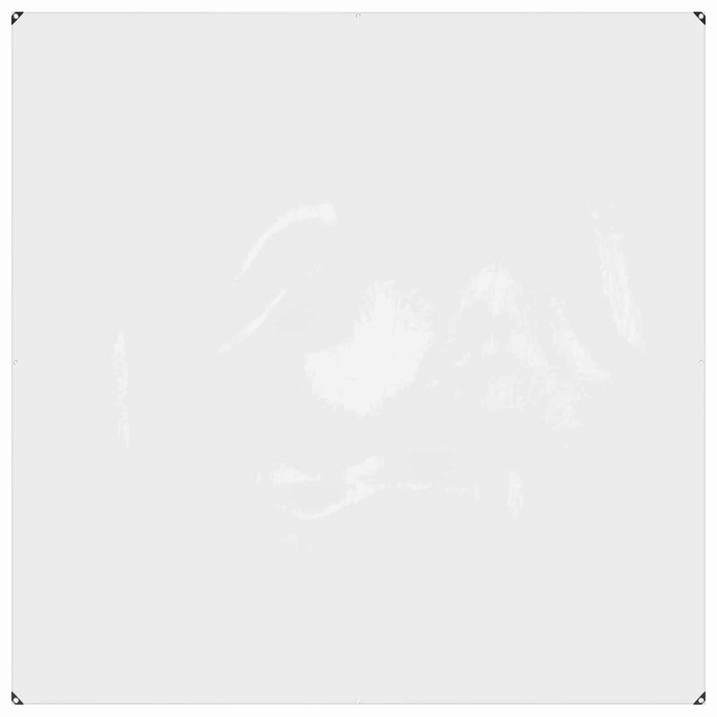 Copertura per Piante Trasparente 2 x 2 m PVC