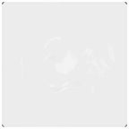 Copertura per Piante Trasparente 2 x 2 m PVC