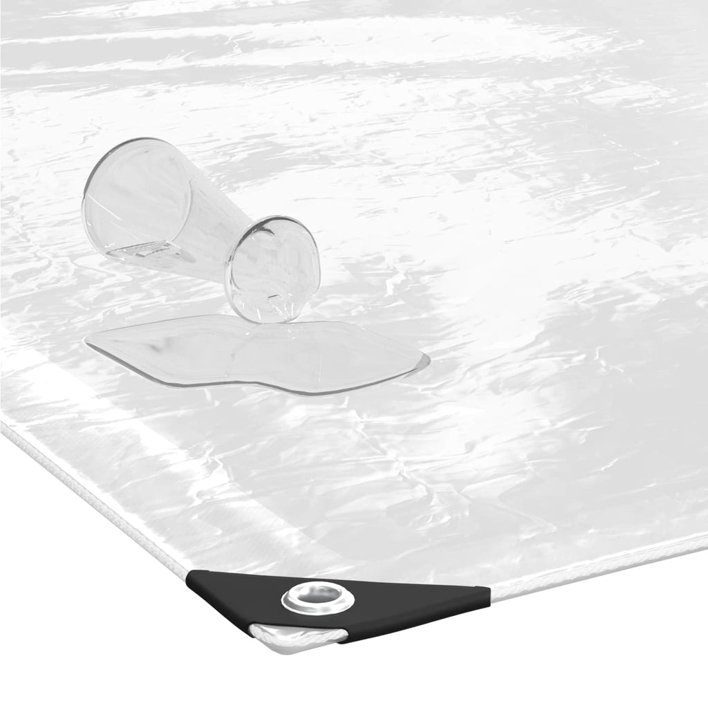 Copertura per Piante Trasparente 3 x 4 m PVC