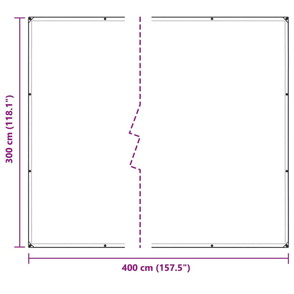 Copertura per Piante Trasparente 3 x 4 m PVC