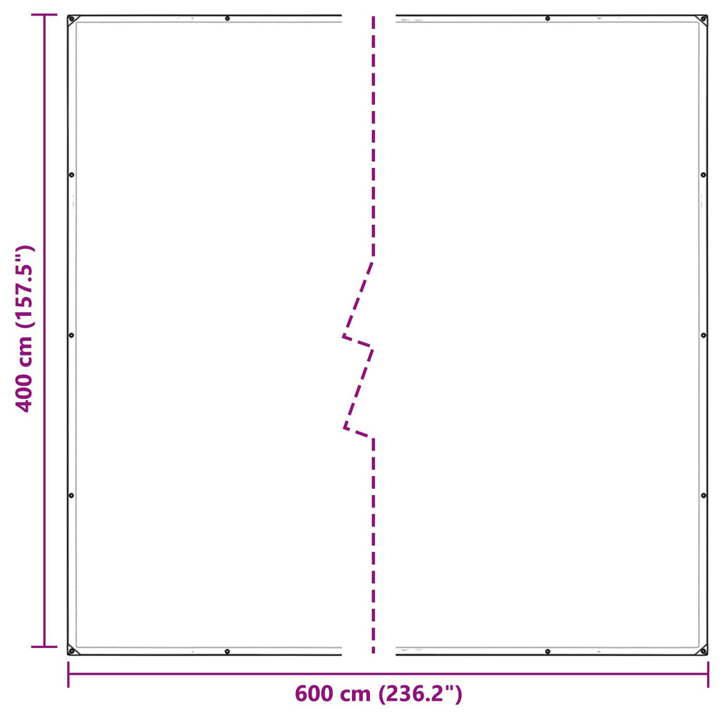 Copertura per Piante Trasparente 4 x 6 m PVC