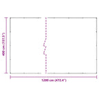 Copertura per Piante Trasparente 4 x 12 m PVC