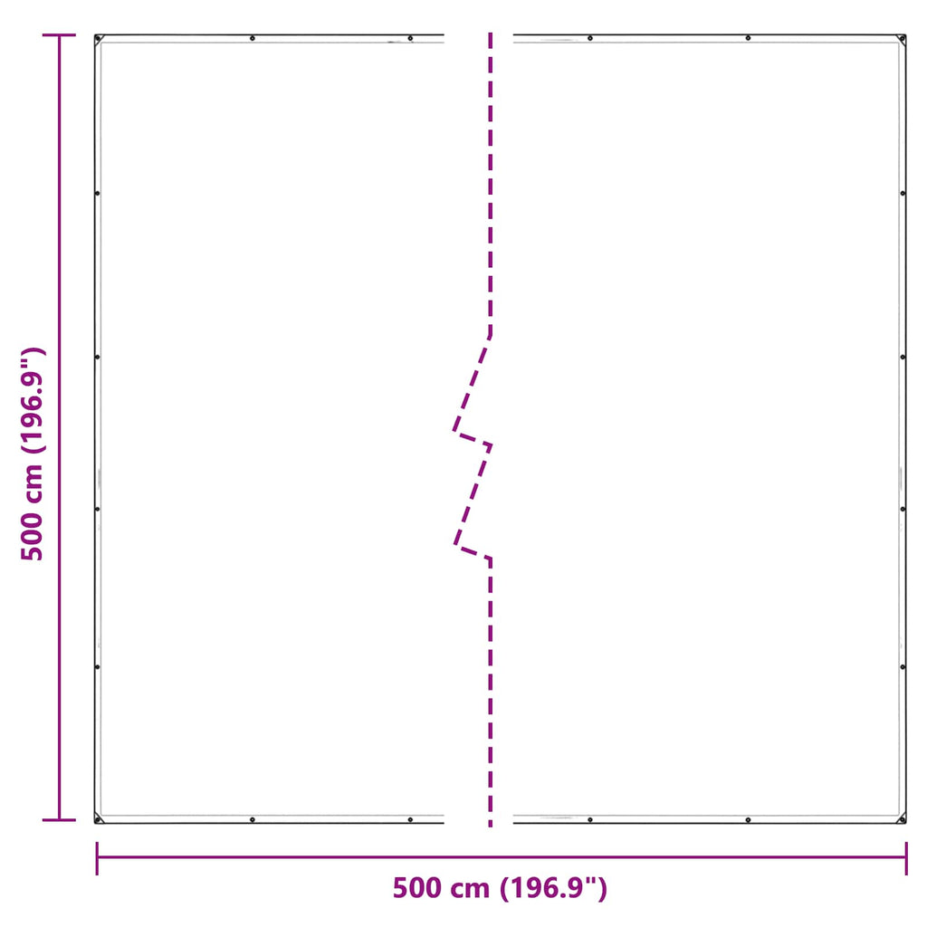 Copertura per Piante Trasparente 5 x 5 m PVC