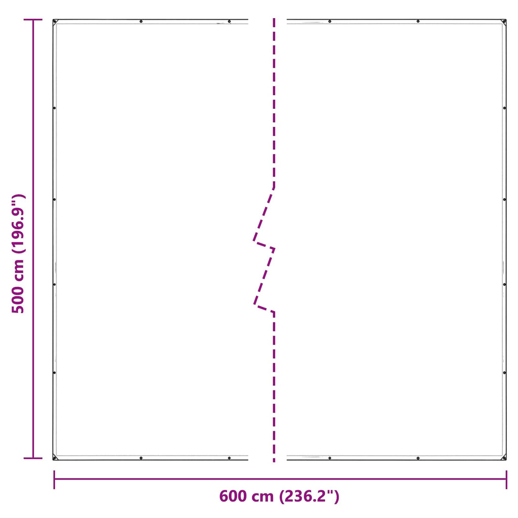 Copertura per Piante Trasparente 5 x 6 m PVC