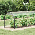 Copertura per Piante Trasparente 6 x 1,5 m PVC
