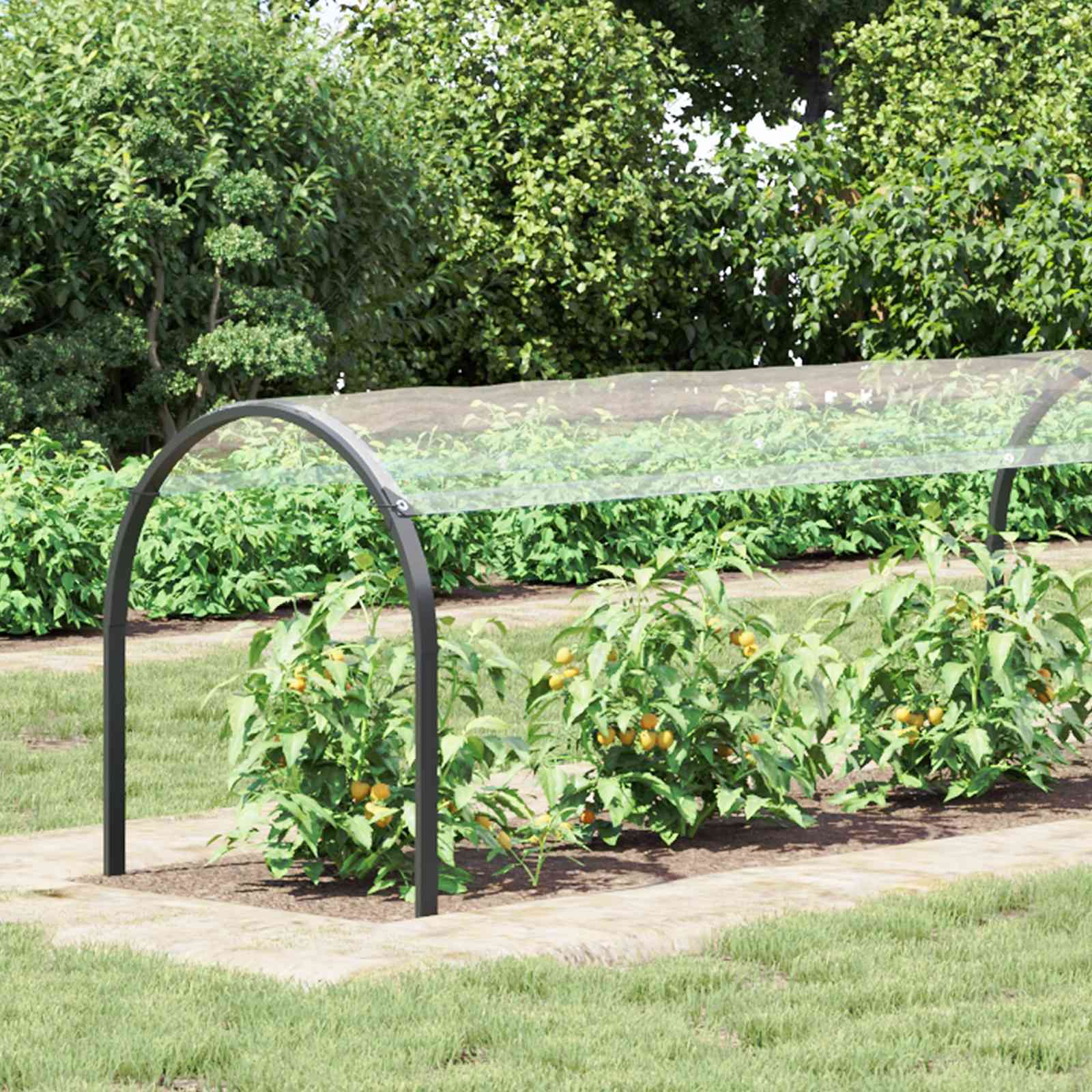 Copertura per Piante Trasparente 10 x 1,5 m PVC