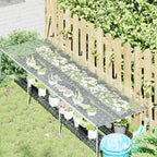 Copertura per Piante Trasparente 2,5 x 1,5 m PVC