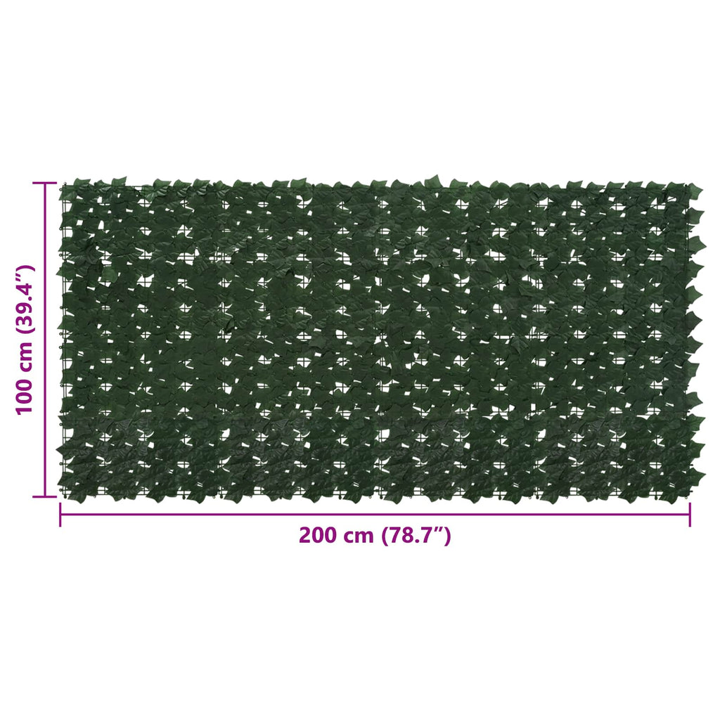 Schermo per balcone con foglie Verde Scuro 200 x 100 cm