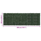 Schermo per balcone con foglie Verde Scuro 300 x 100 cm