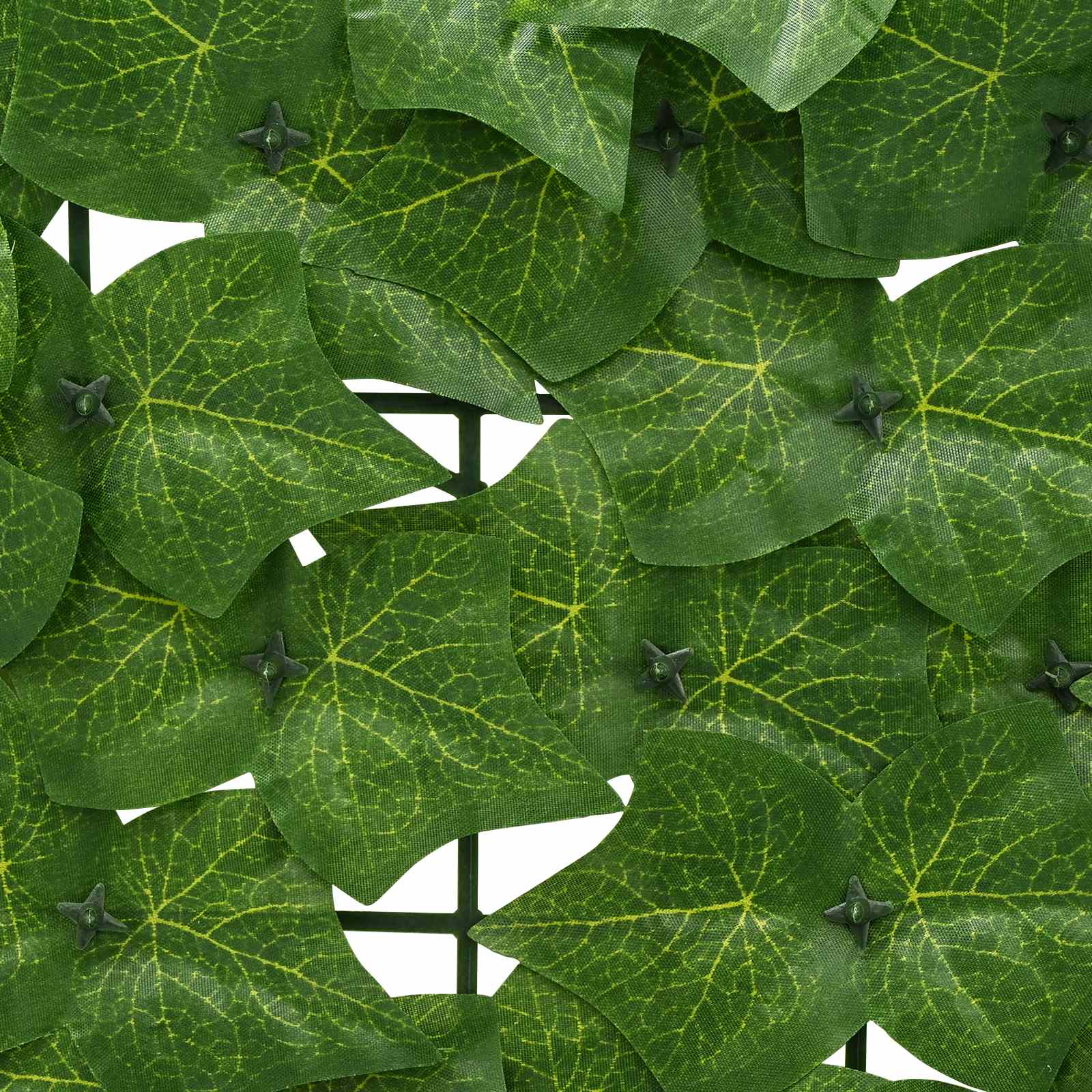Schermo per balcone con foglie Verde 600 x 75 cm