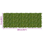 Schermo per balcone con foglie Verde e Giallo 200 x 75 cm