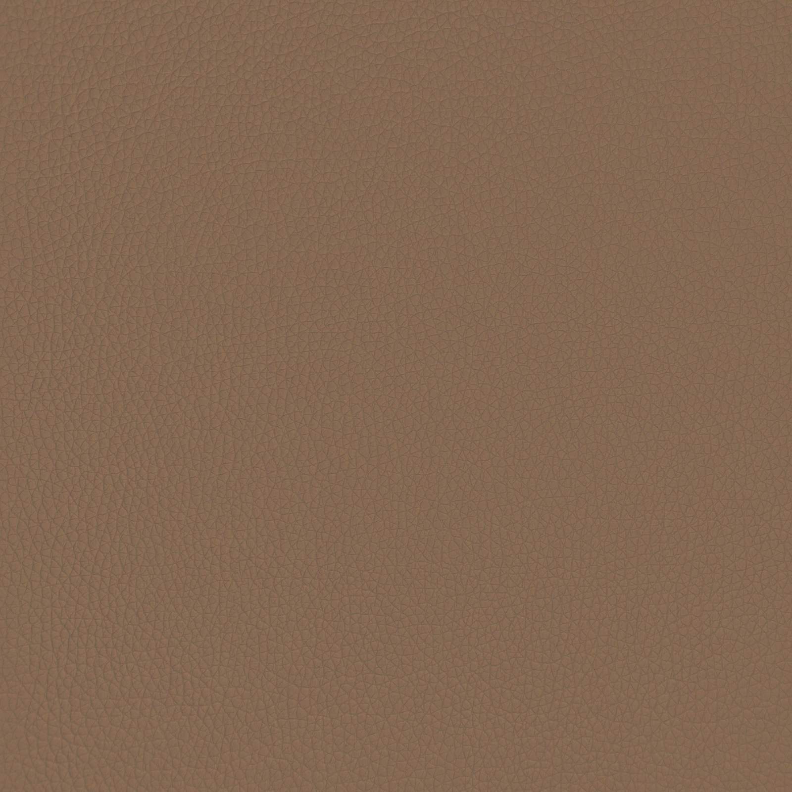 Panchina imbottita con schienale Cappuccino 110 x 60 x 76 cm