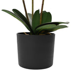 Pianta di Orchidea Artificiale con Vaso Bianco 45 x 15 x 65 cm